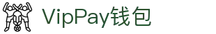VipPay钱包 | 充值无痕 安全无忧